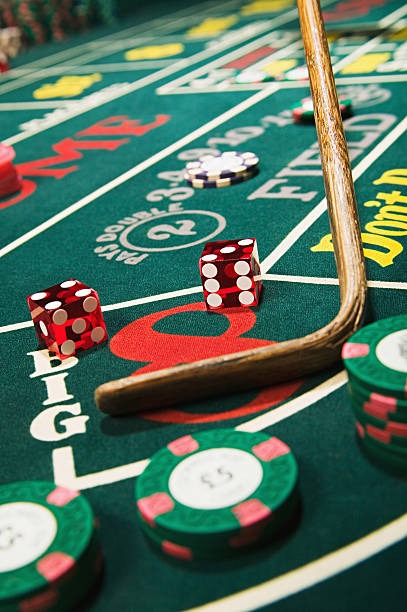 kaijiang 500 account dashboard showing Togel Online selection history and balance tracking